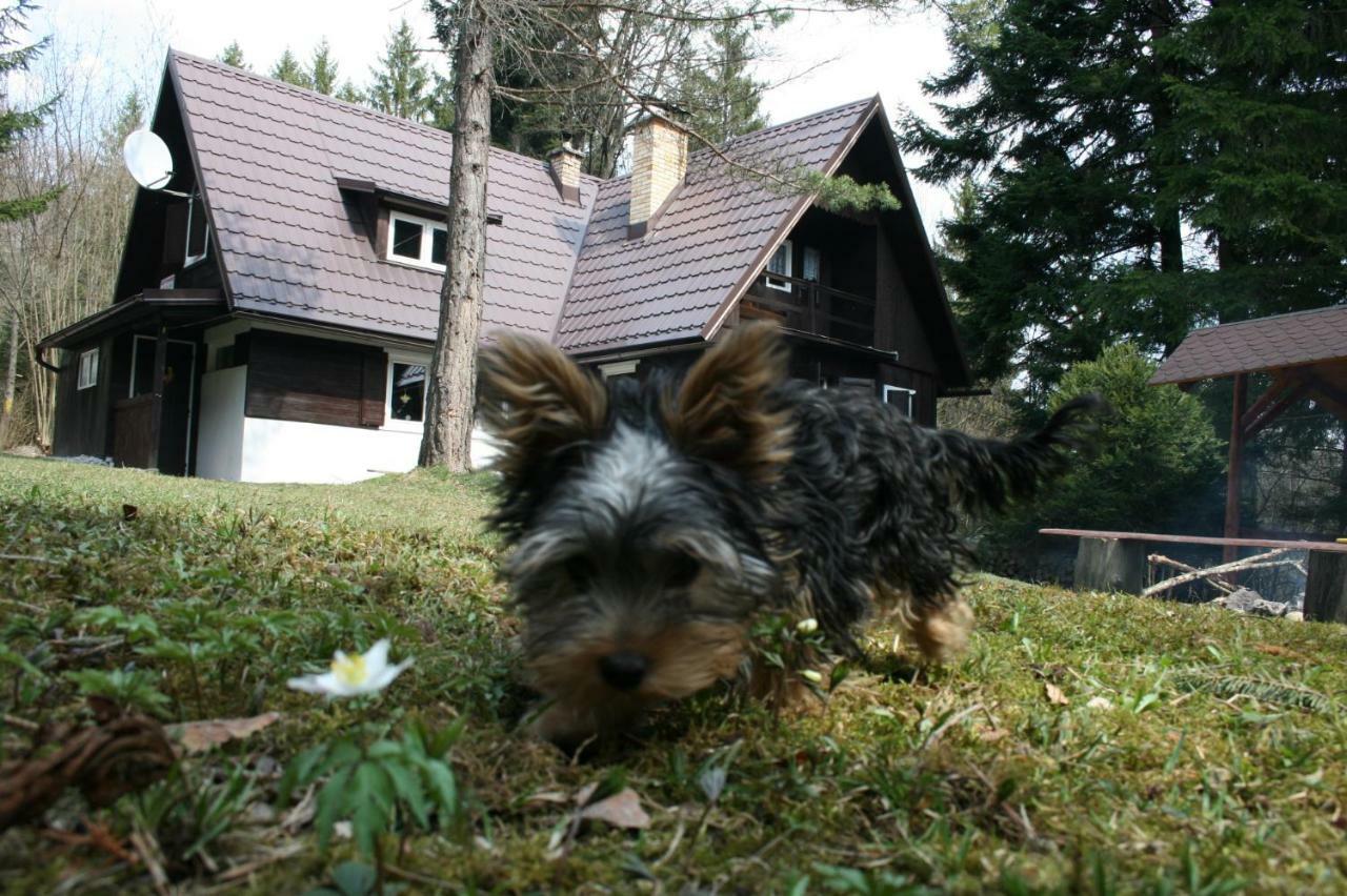 Chata Rusalka Villa Nemecka Exterior photo